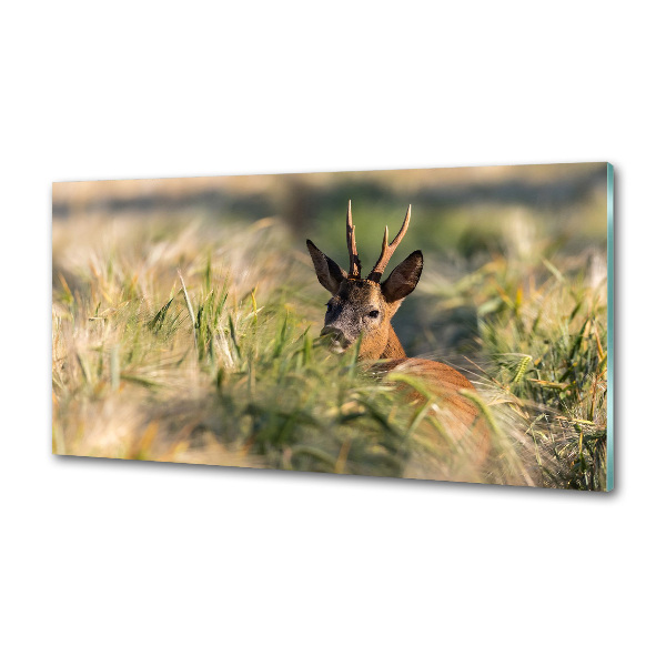 Kitchen splashback Deer in the field