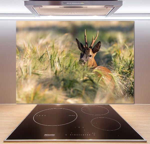 Kitchen splashback Deer in the field