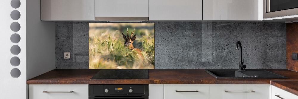 Kitchen splashback Deer in the field