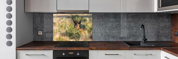 Kitchen splashback Deer in the field