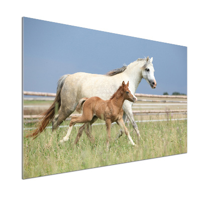 Glass splashback Mare with foal