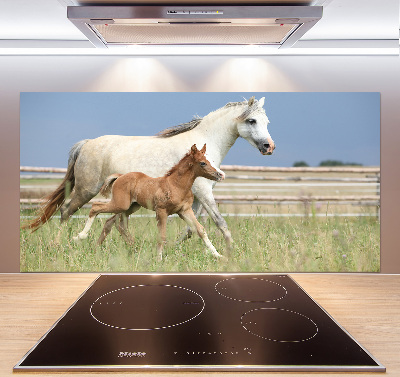 Glass splashback Mare with foal