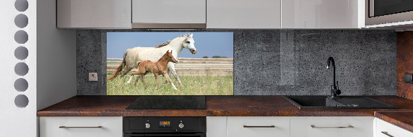 Glass splashback Mare with foal