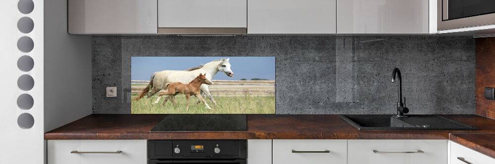 Glass splashback Mare with foal