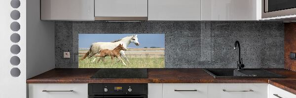 Glass splashback Mare with foal