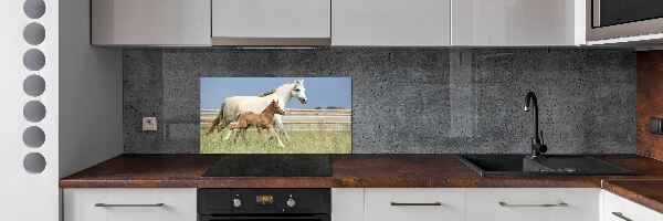 Glass splashback Mare with foal