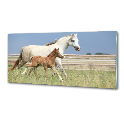 Glass splashback Mare with foal