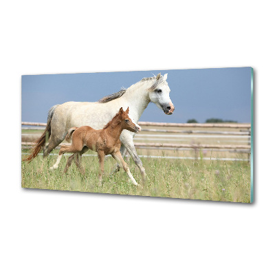 Glass splashback Mare with foal