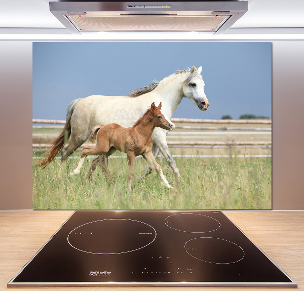 Glass splashback Mare with foal