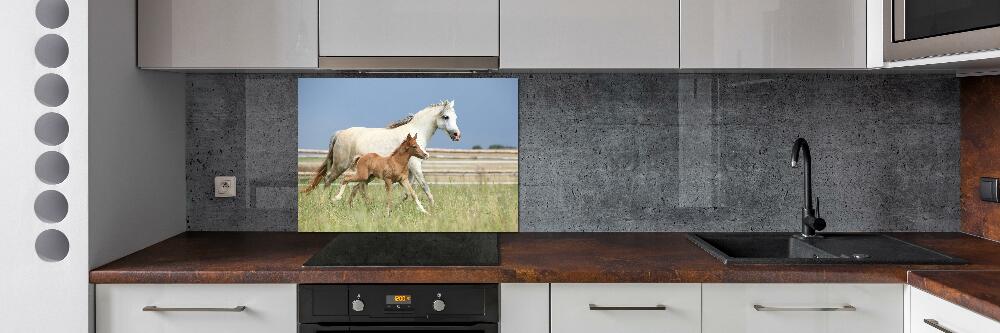 Glass splashback Mare with foal