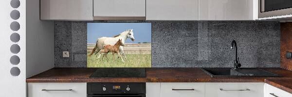 Glass splashback Mare with foal