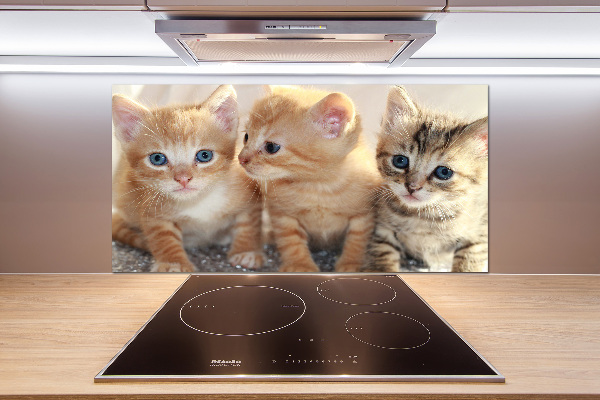 Glass splashback Little cats