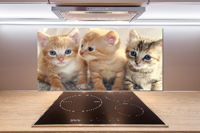 Glass splashback Little cats