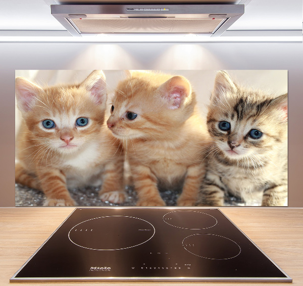 Glass splashback Little cats