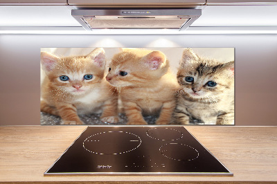 Glass splashback Little cats