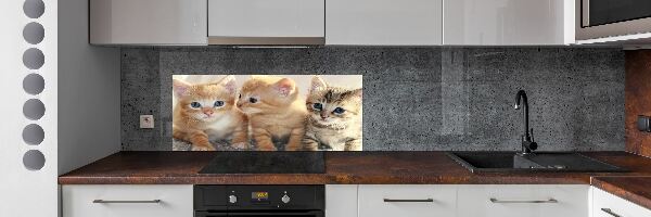 Glass splashback Little cats