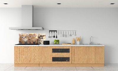 Glass splashback Little cats