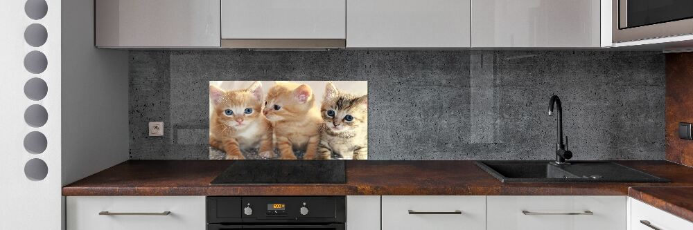 Glass splashback Little cats