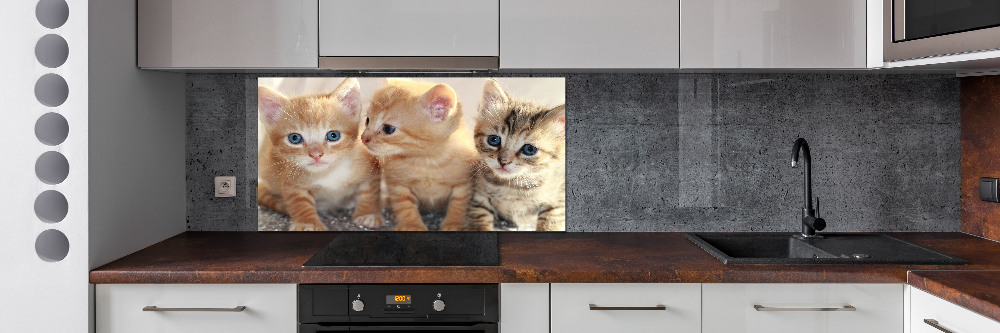 Glass splashback Little cats