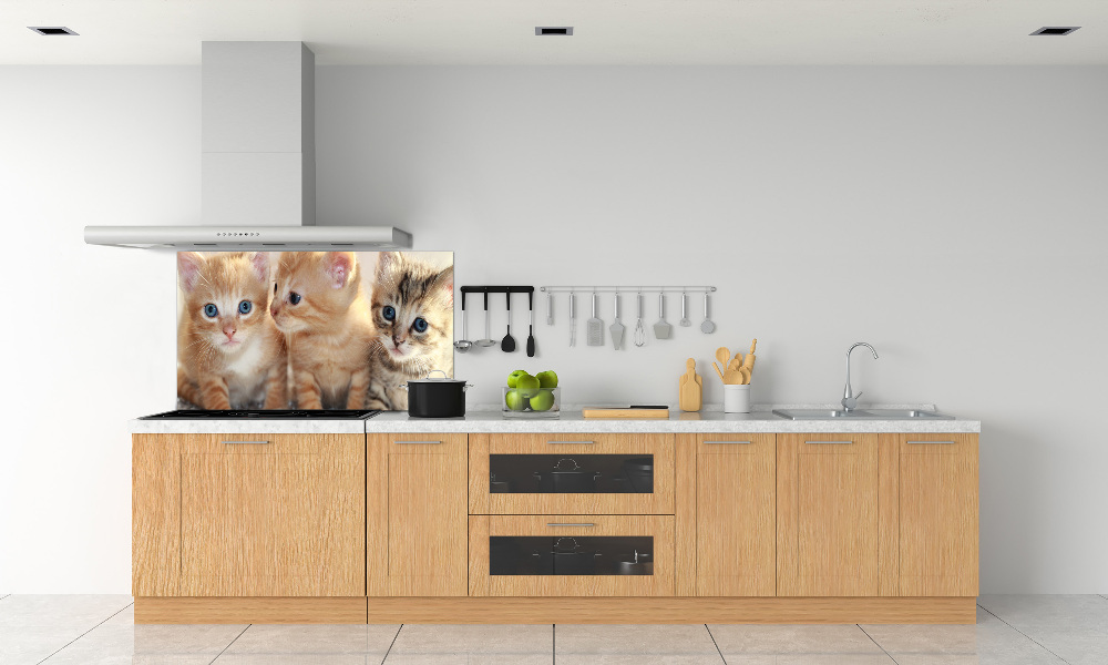 Glass splashback Little cats