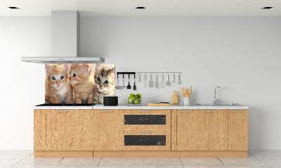 Glass splashback Little cats