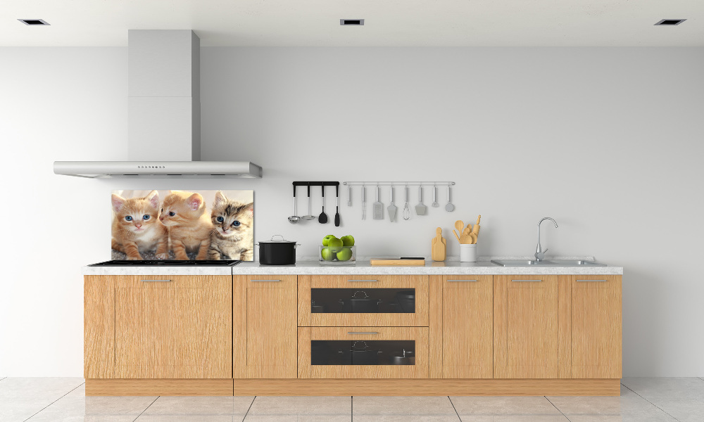 Glass splashback Little cats