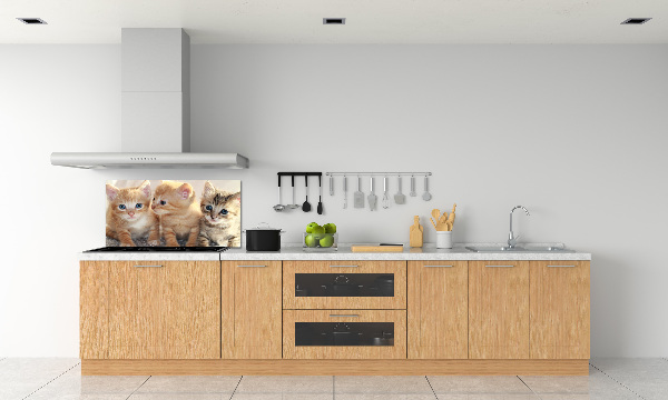 Glass splashback Little cats