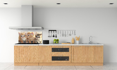 Glass splashback Little cats