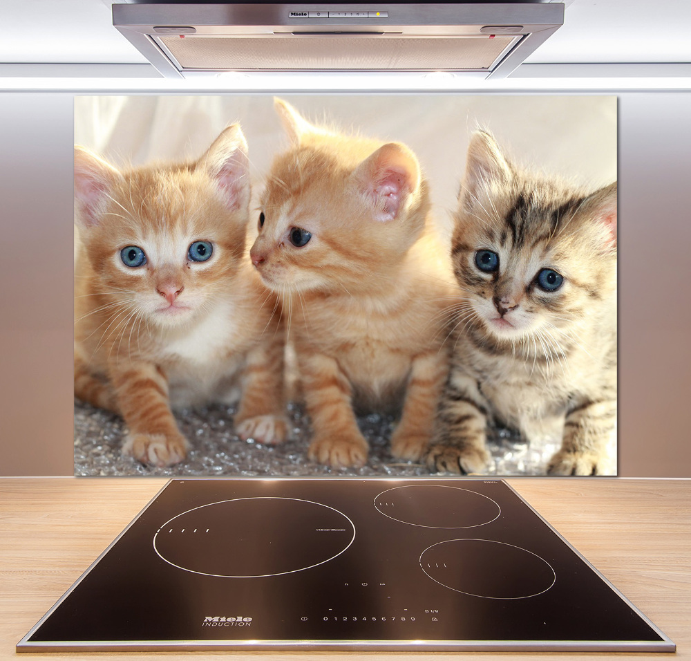 Glass splashback Little cats