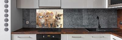 Glass splashback Little cats