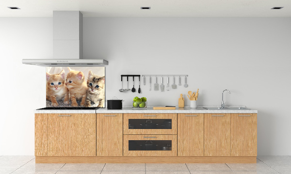 Glass splashback Little cats