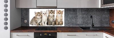 Glass splashback Little cats