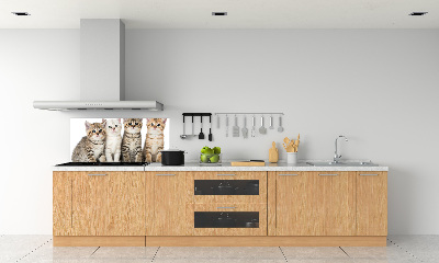 Glass splashback Little cats