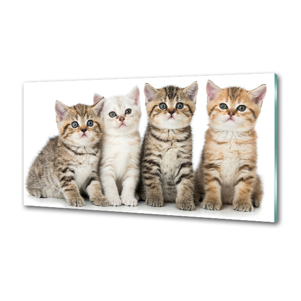 Glass splashback Little cats