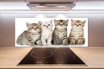 Glass splashback Little cats