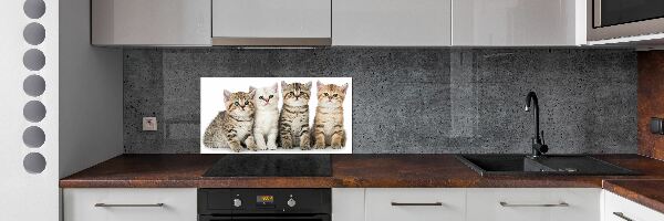 Glass splashback Little cats