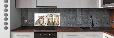 Glass splashback Little cats