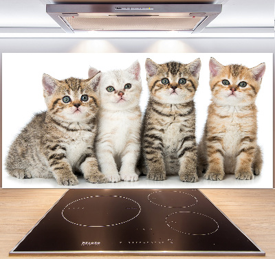 Glass splashback Little cats