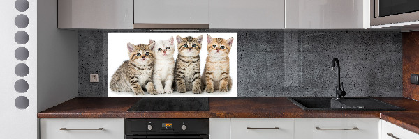 Glass splashback Little cats