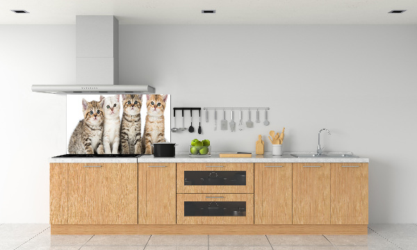 Glass splashback Little cats