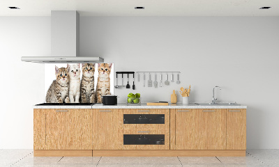 Glass splashback Little cats