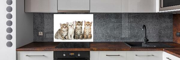 Glass splashback Little cats