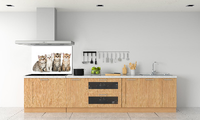 Glass splashback Little cats