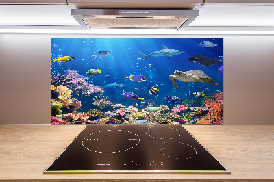 Kitchen wall panels Coral reef