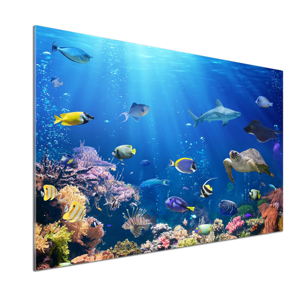 Kitchen wall panels Coral reef