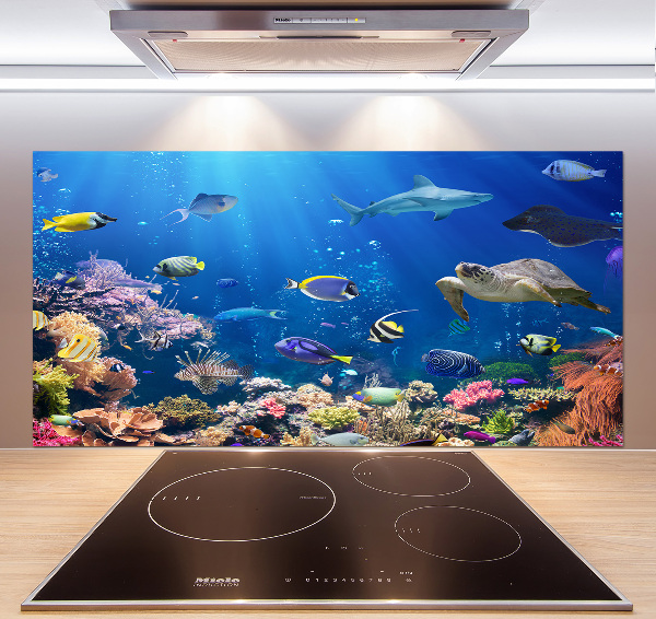 Kitchen wall panels Coral reef