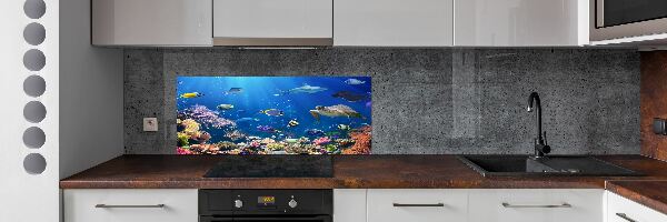 Kitchen wall panels Coral reef