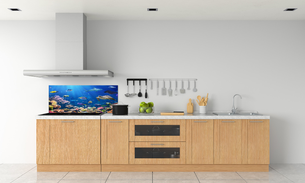 Kitchen wall panels Coral reef