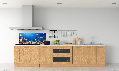 Kitchen wall panels Coral reef