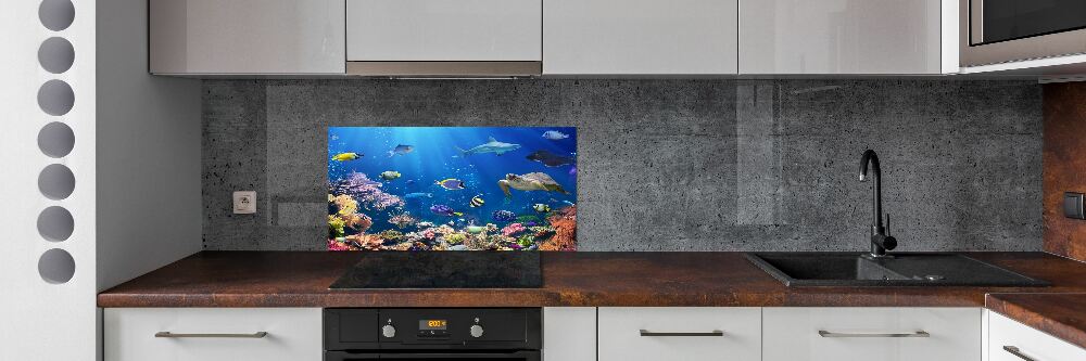 Kitchen wall panels Coral reef